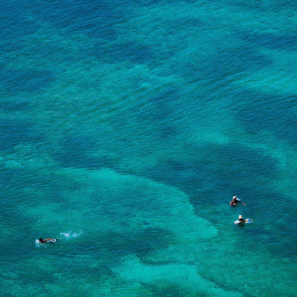 Youth Lagoon Mission 1 Percent for 50 Reefs