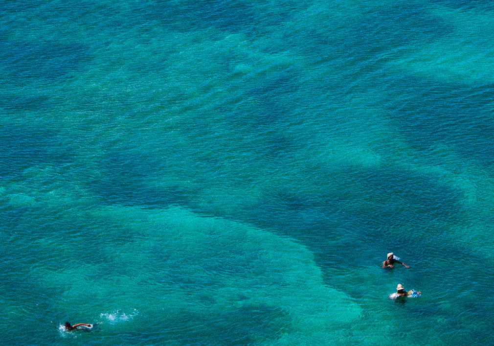 Youth Lagoon Mission 1 Percent for 50 Reefs