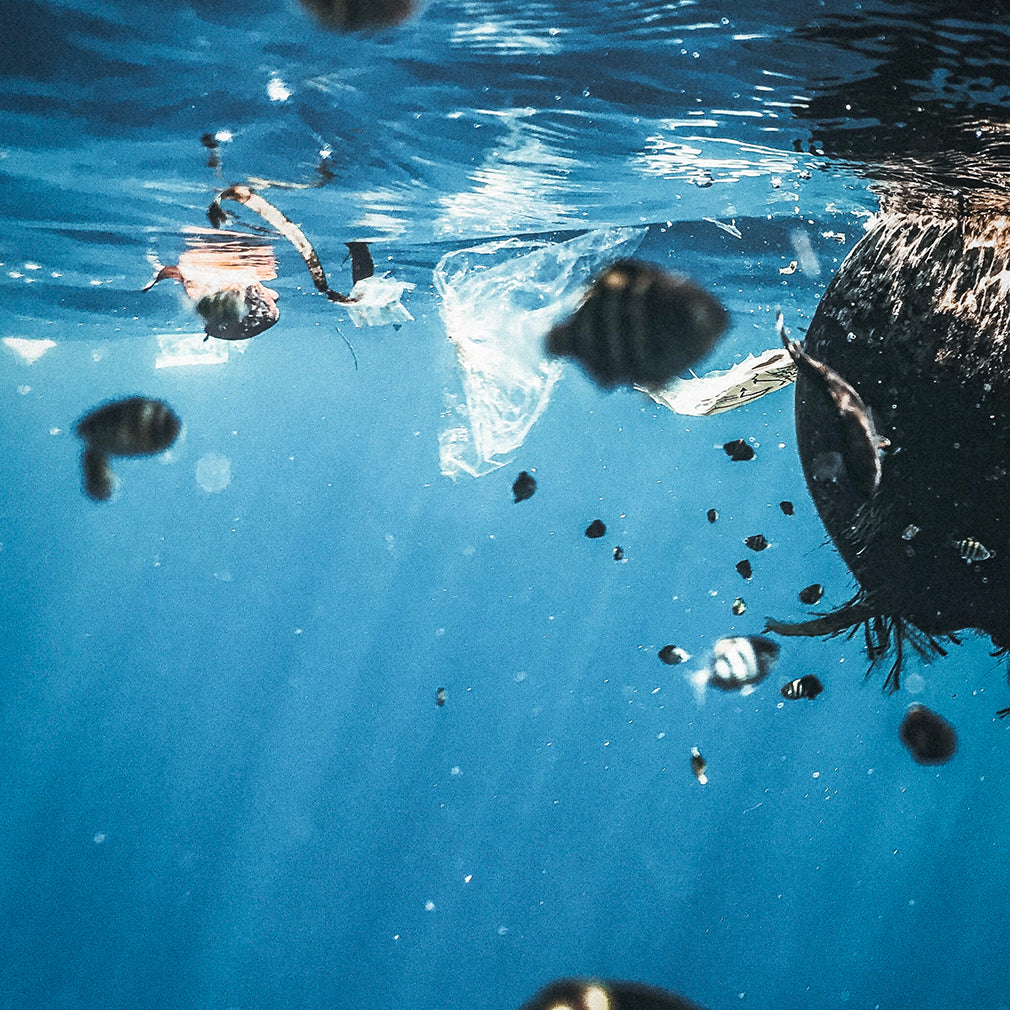 Youth Lagoon Mission Ocean Clean Up