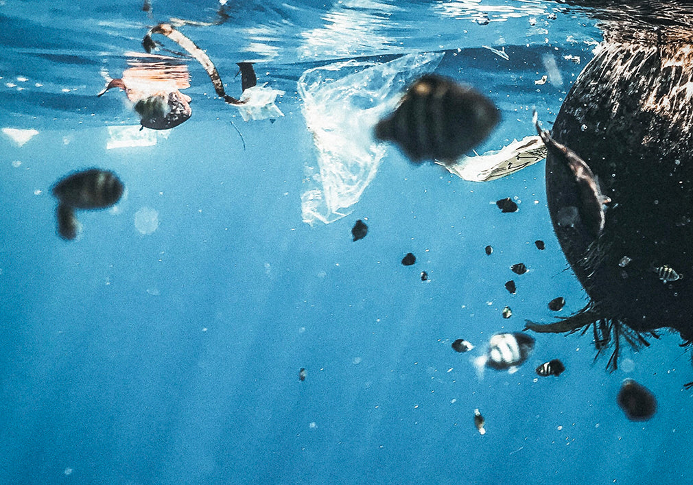 Youth Lagoon Mission Ocean Clean Up