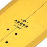 Arbor x Carver x Tyler Warren C7 29" Surfskate - Youth Lagoon