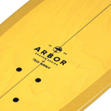 Arbor x Carver x Tyler Warren C7 29" Surfskate - Youth Lagoon