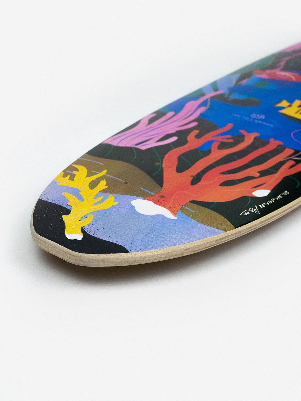 The Reef 38" Surfskate Deck - Youth Lagoon