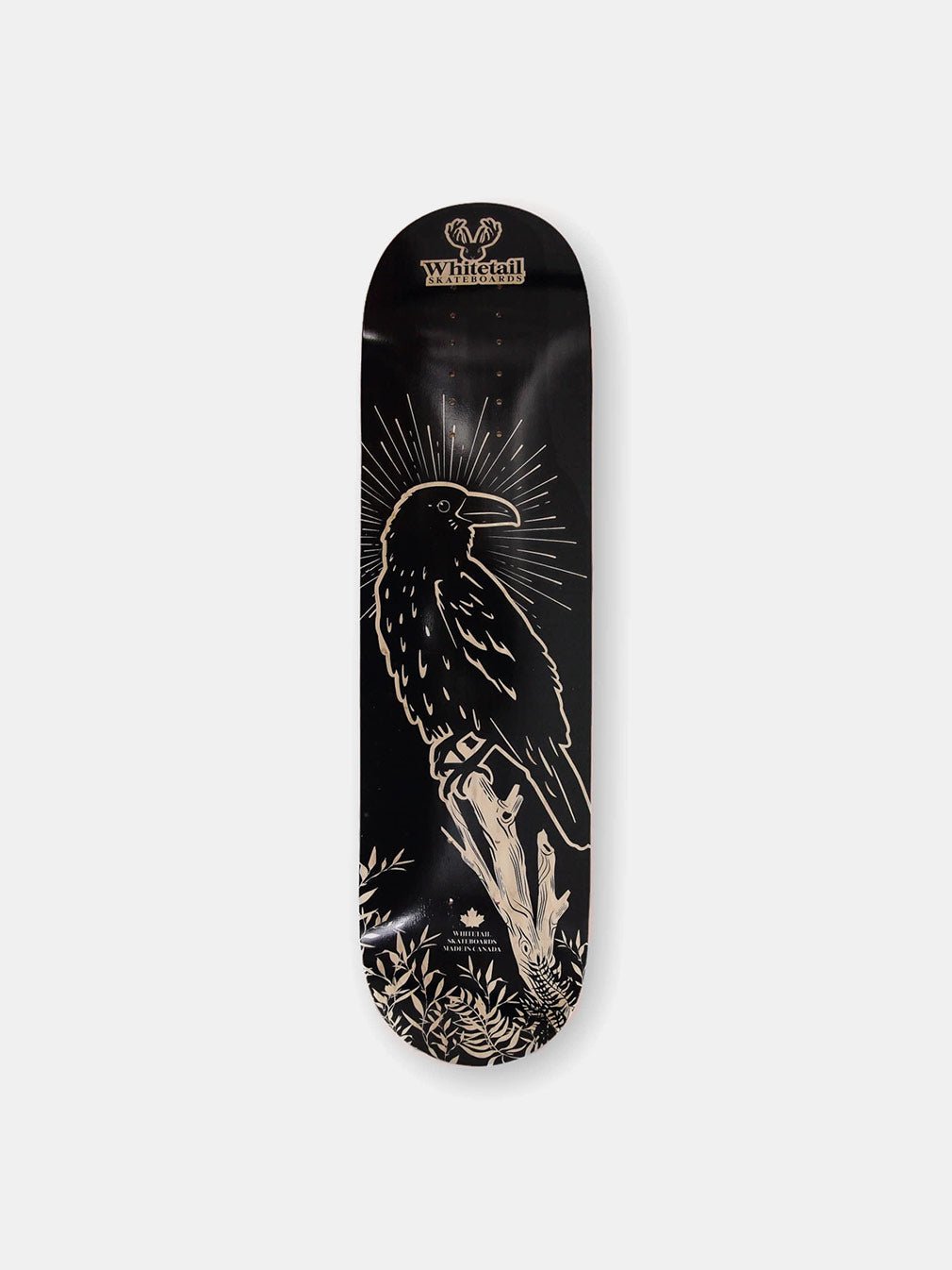 Whitetail BlackBird Street - and Surfskate Deck - Youth Lagoon