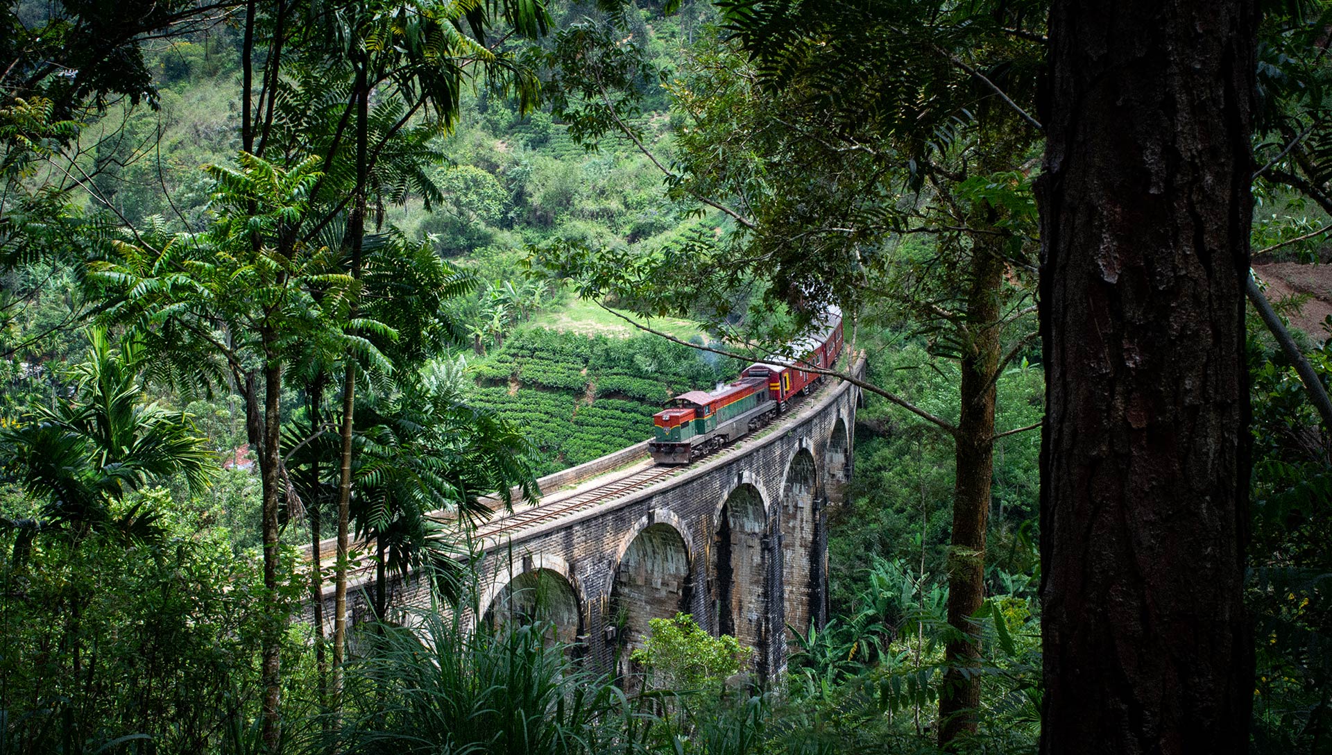 Youth Lagoon Travel Photography Sri Lanka