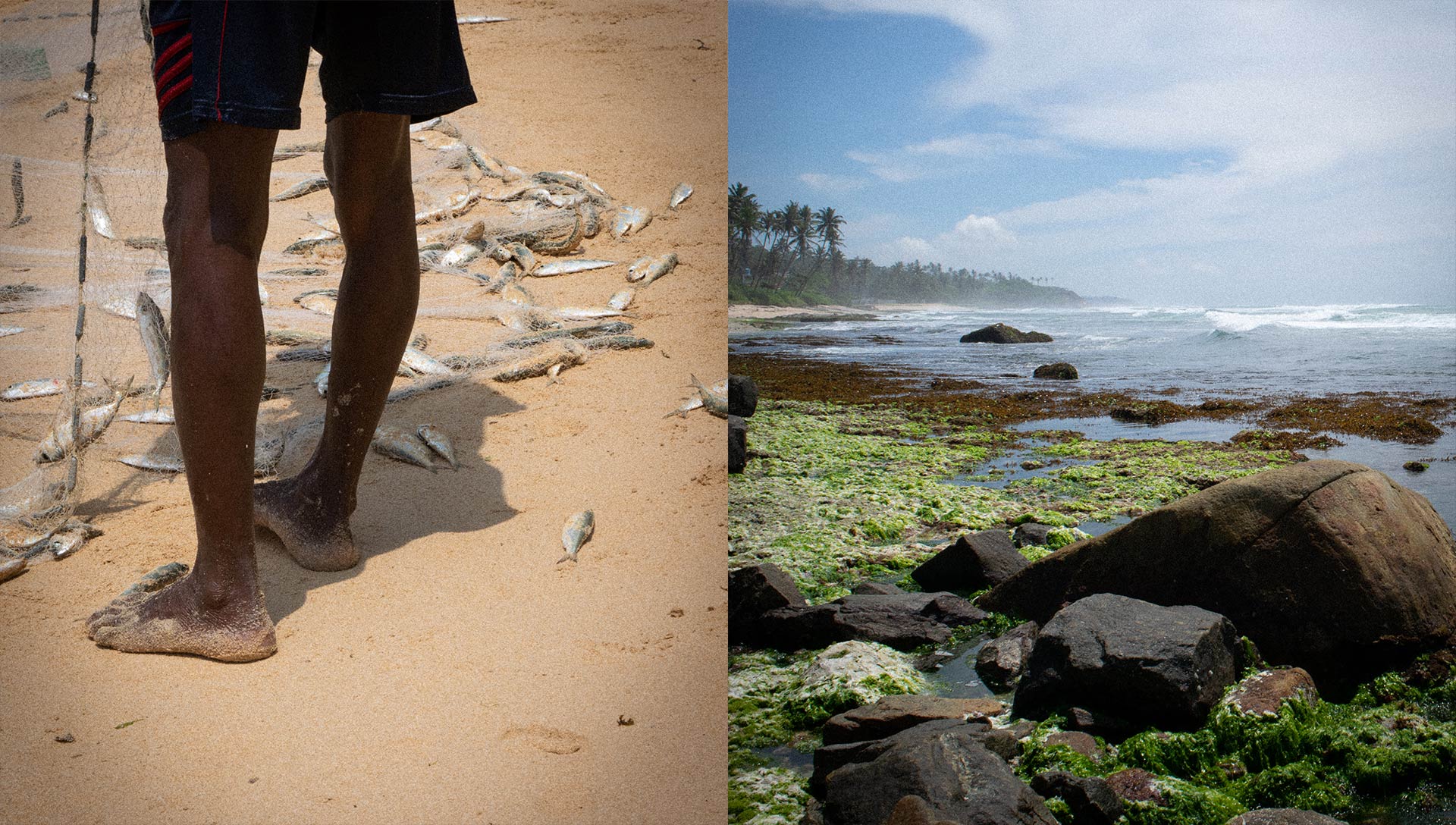 Youth Lagoon Travel Photography Sri Lanka