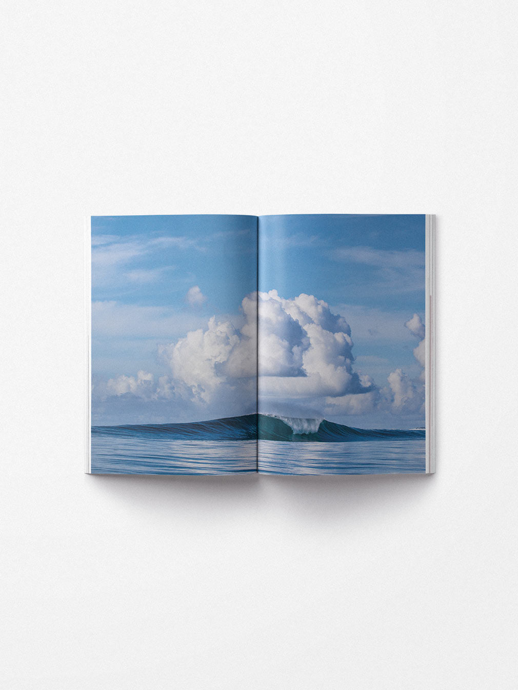 WAVES & WOODS Issue 18: Special Issue - Youth Lagoon